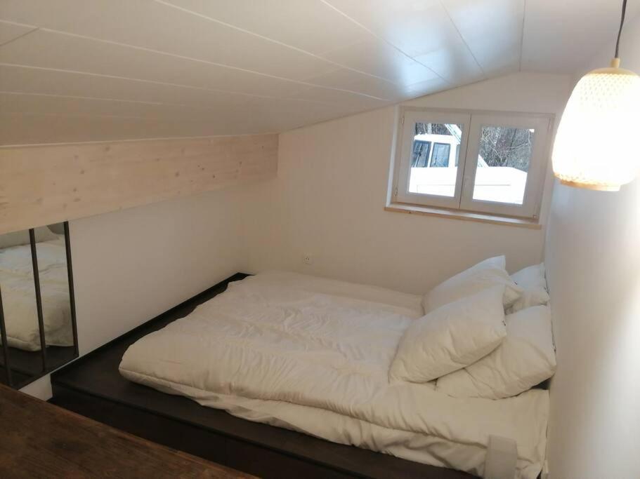 Apartament Studio Aux Granges Du Vilaret Clairvaux-les-Lacs Zewnętrze zdjęcie